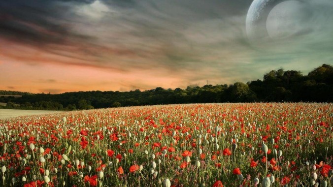 女生可以在家中裸居吗？